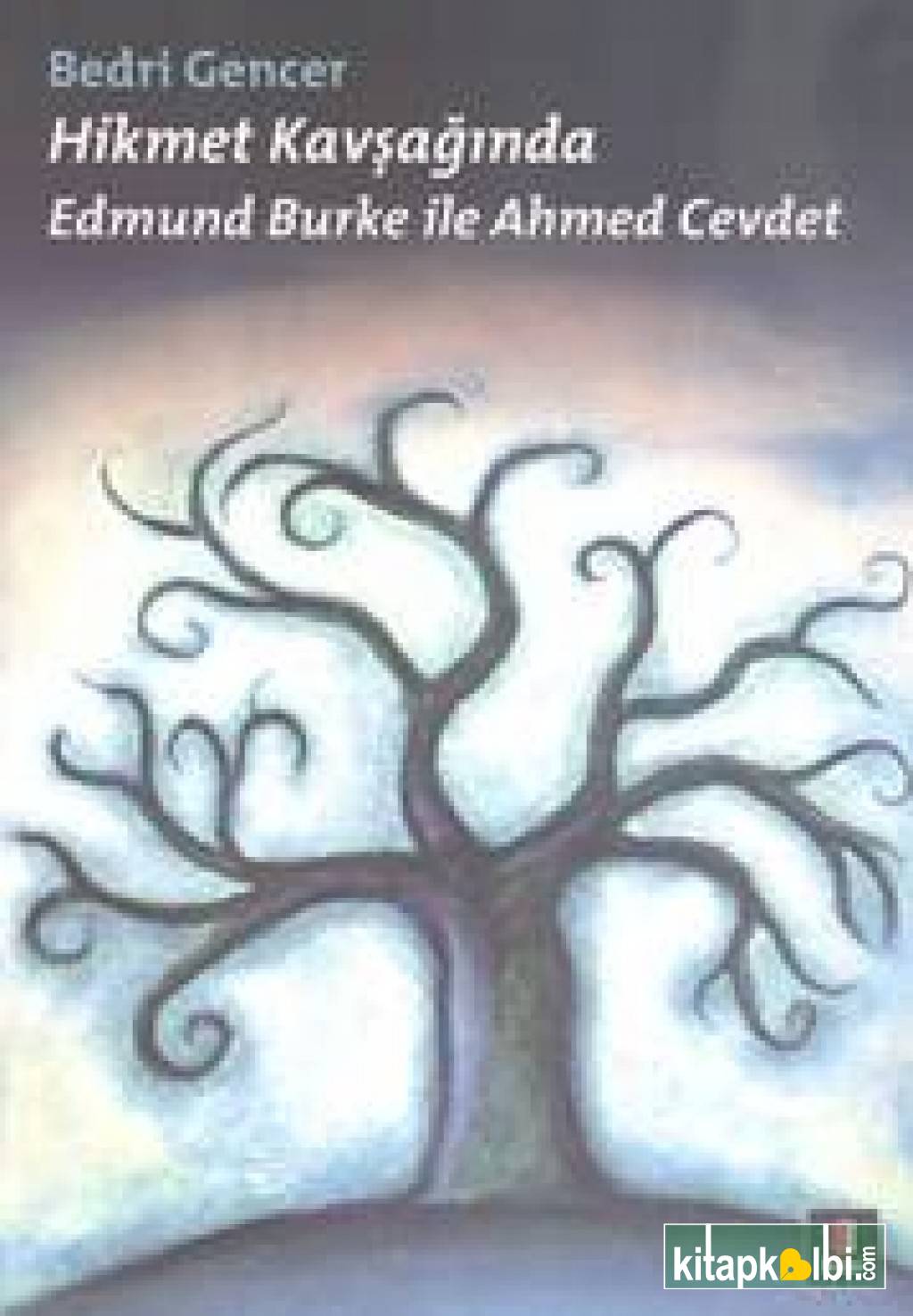 Hikmet Kavşağında-Edmund Burke ile Ahmed Cevdet