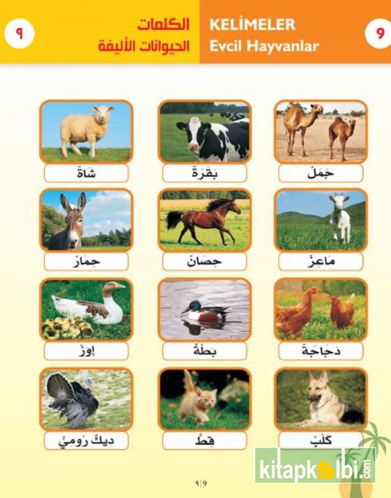 Görsel Arapça