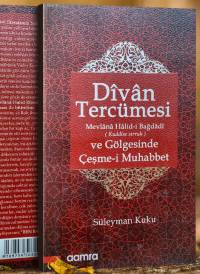 Divan Tercümesi