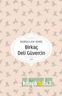 Birkaç Deli Güvercin