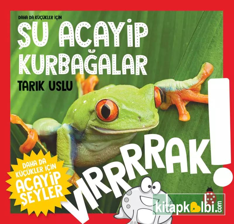 Küçükler İçin Şu Acayip Kurbağalar