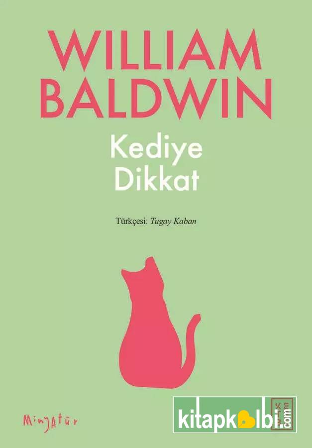 Kediye Dikkat