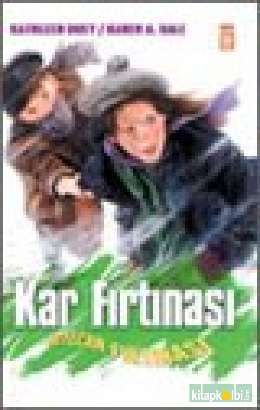 Kar Fırtınası