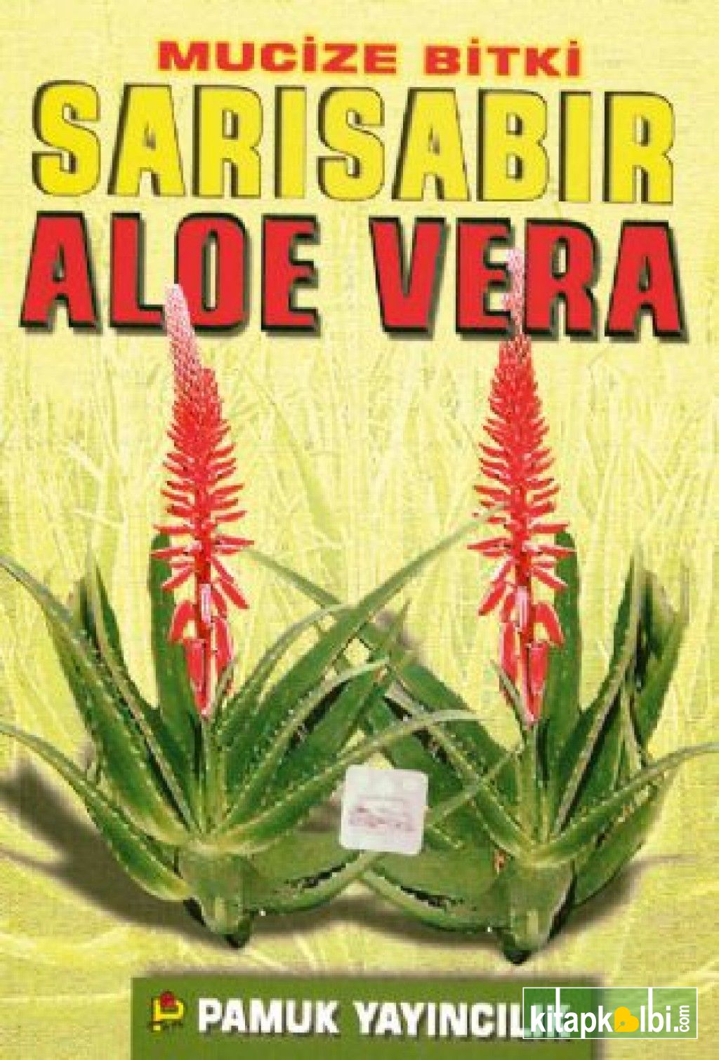 Mucize Bitki Sarı Sabır Aloe Vera Bitki 017
