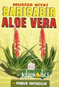 Mucize Bitki Sarı Sabır Aloe Vera Bitki 017