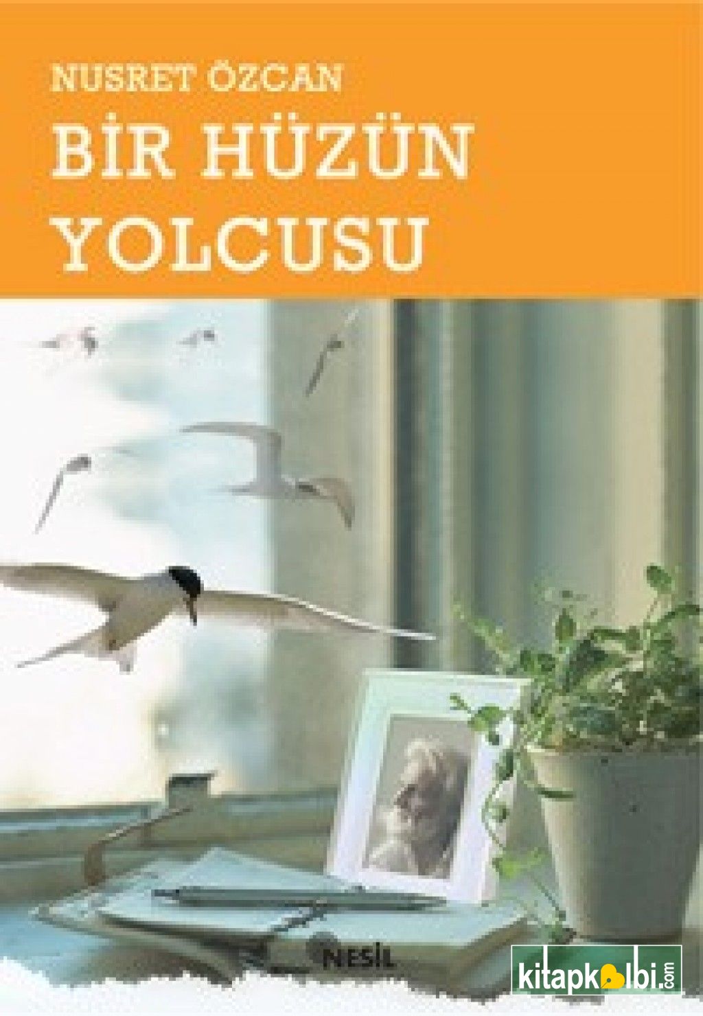 Bir Hüzün Yolcusu