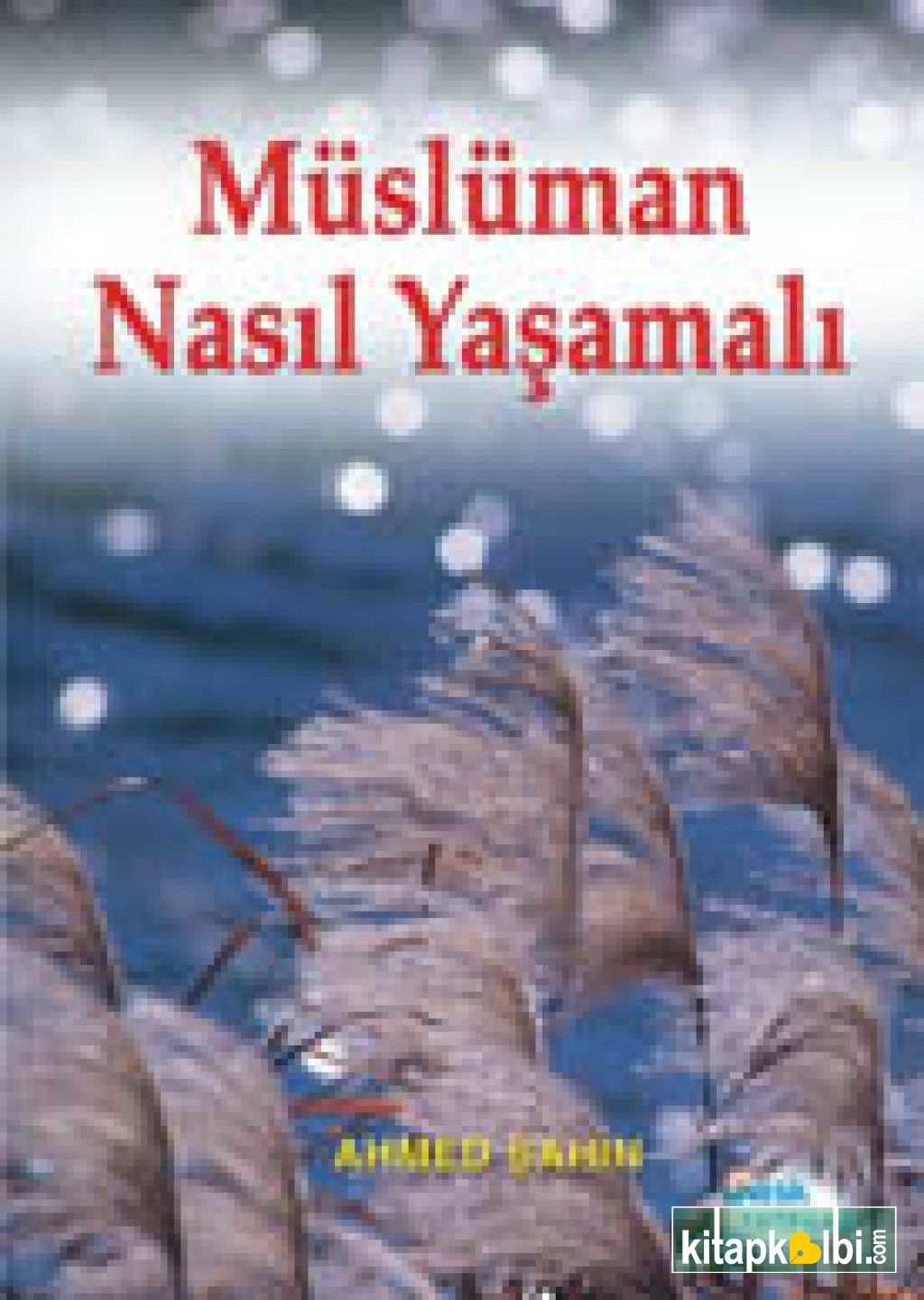 Müslüman Nasıl Yaşamalı