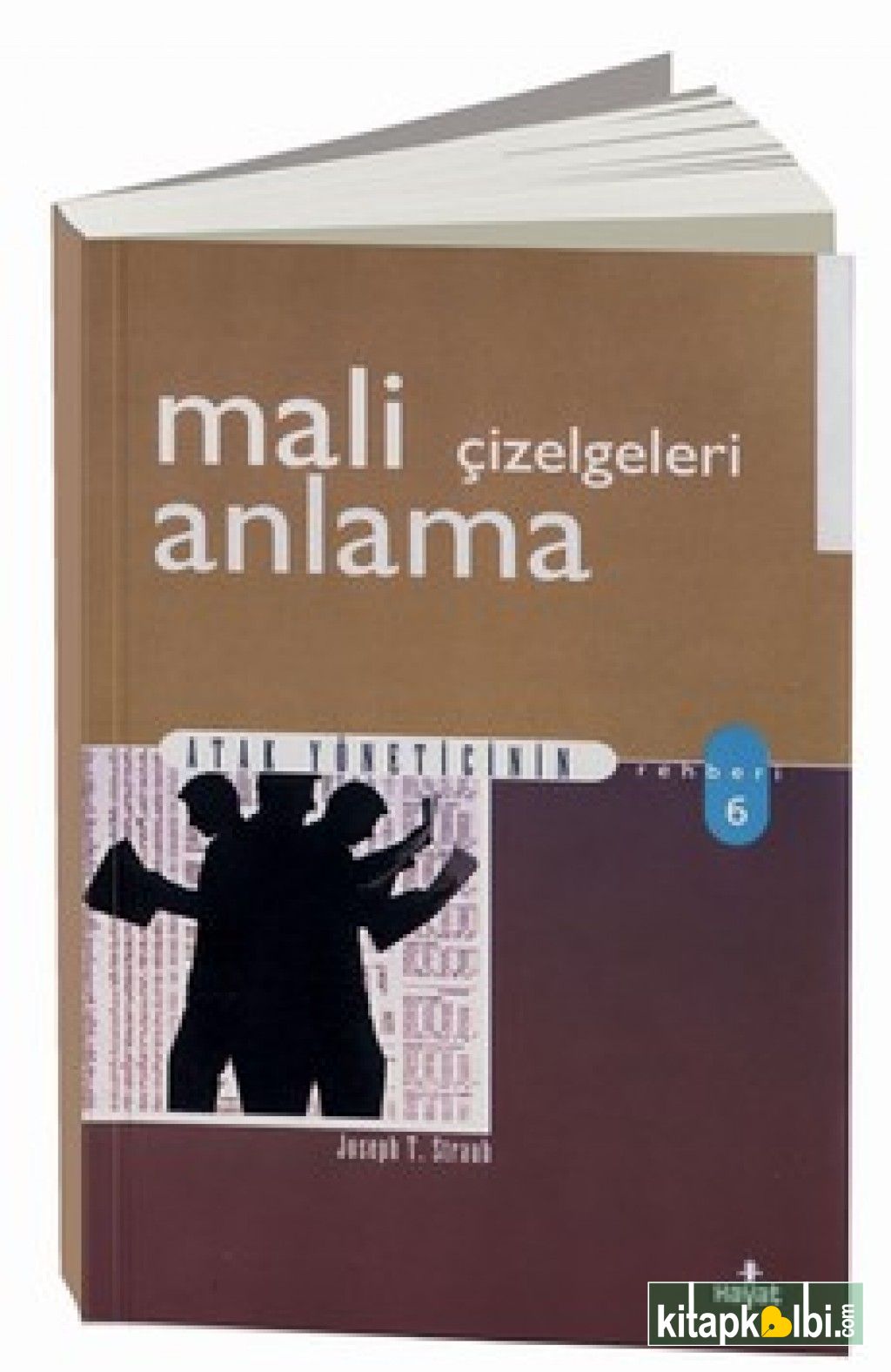 Mali Tabloları Anlama