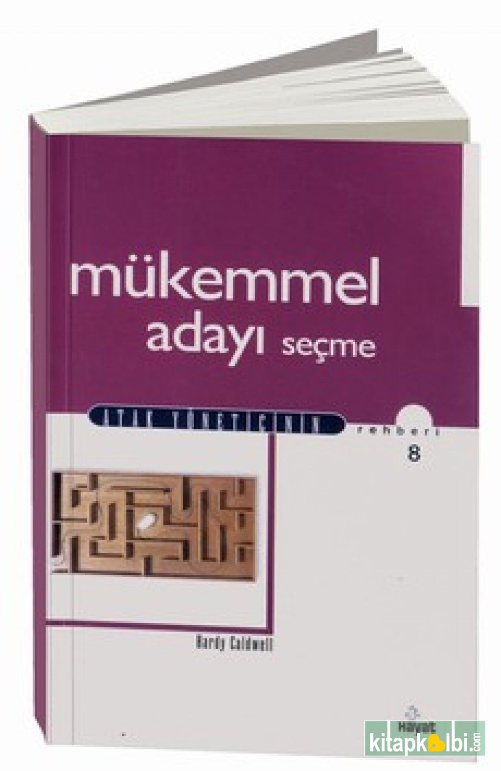 Mükemmel Adayı Seçme