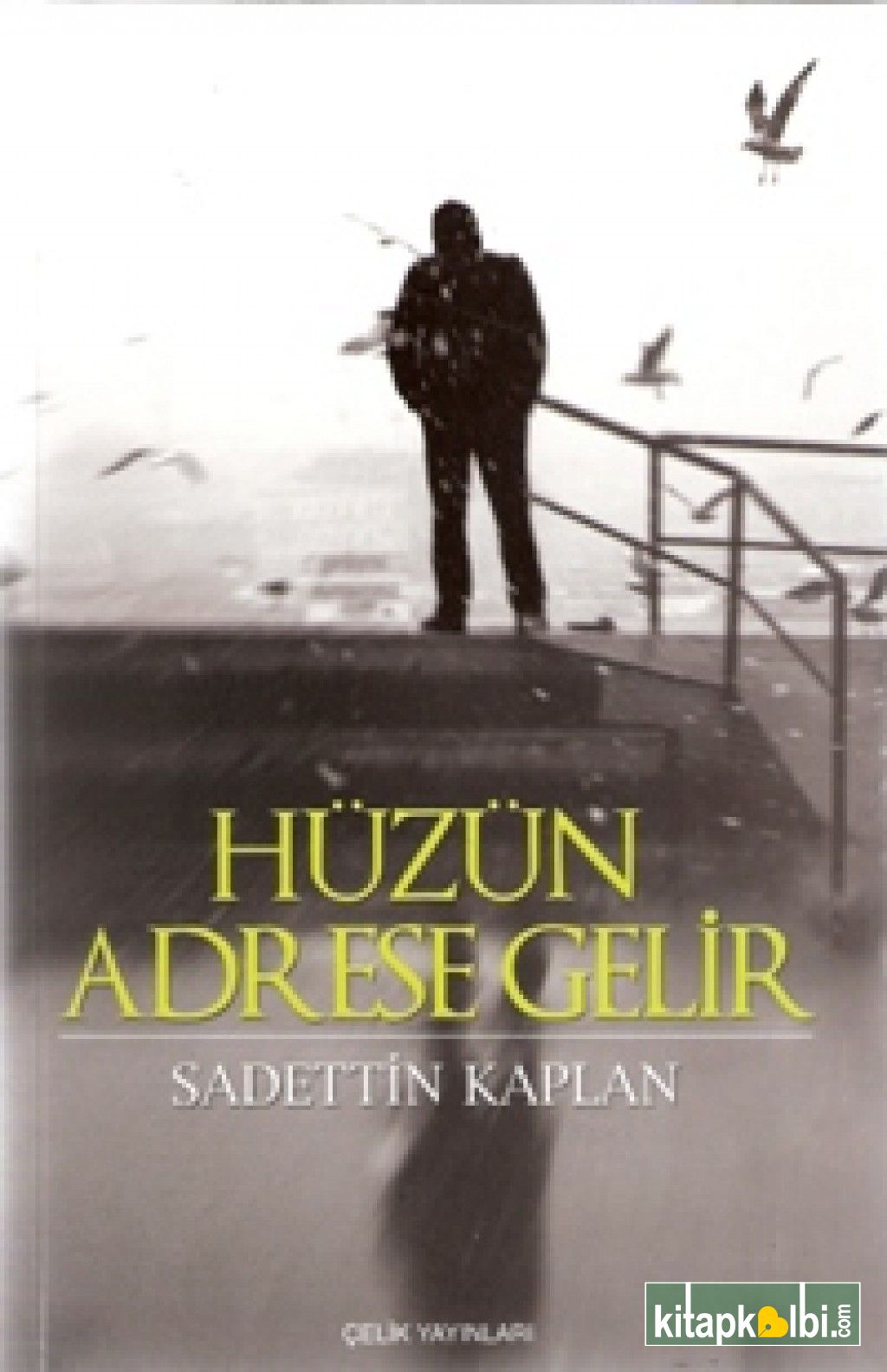 Hüzün Adrese Gelir