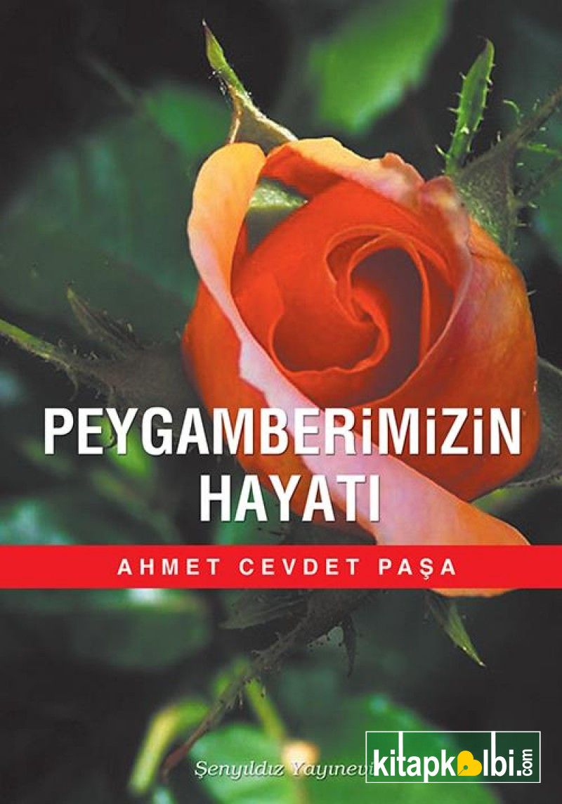 Peygamberimizin Hayatı