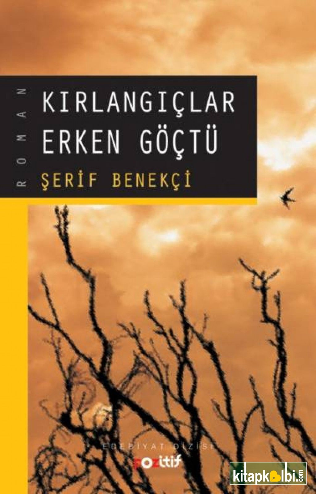 Kırlangıçlar Erken Göçtü