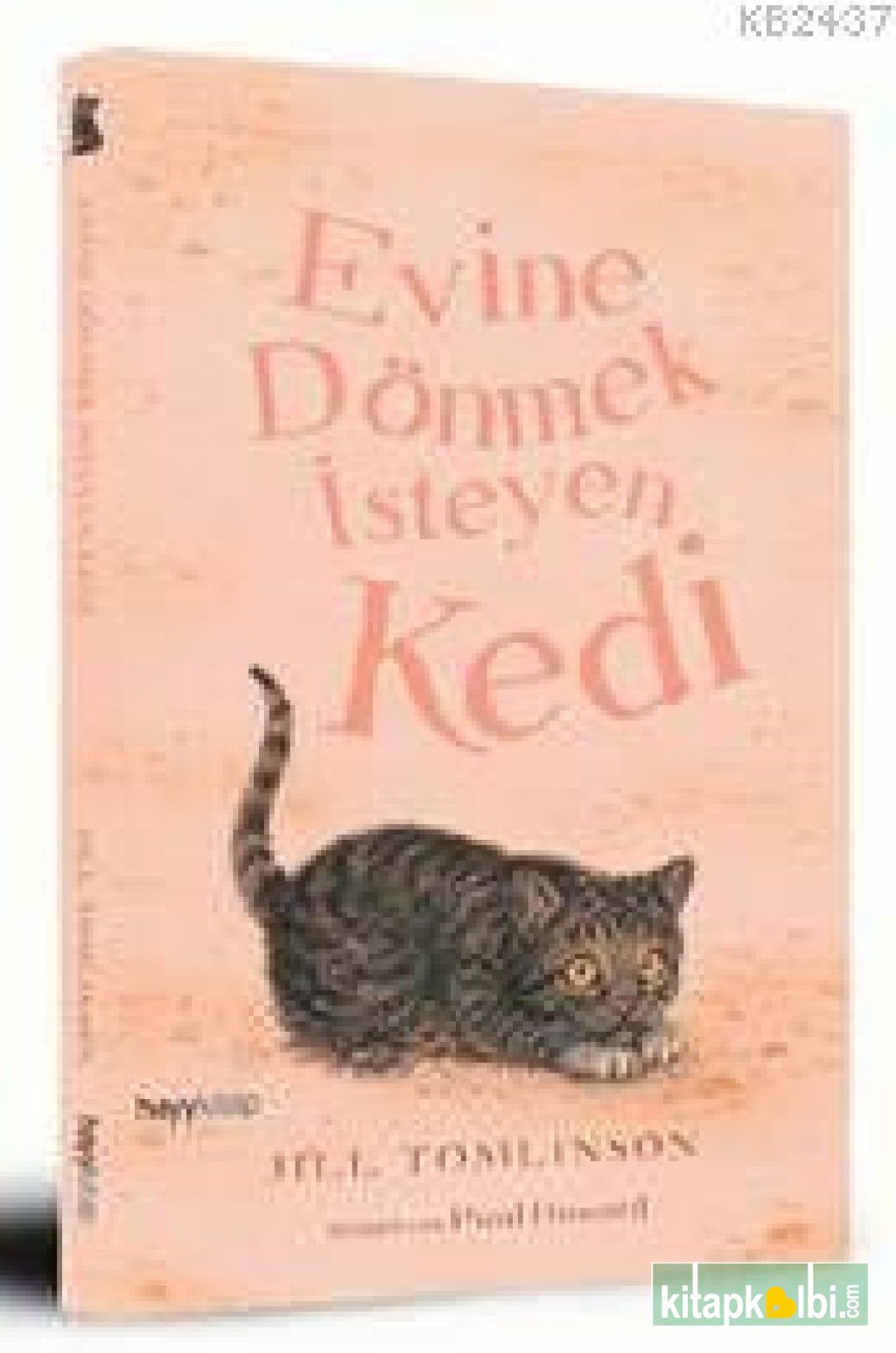 Evine Dönmek İsteyen Kedi