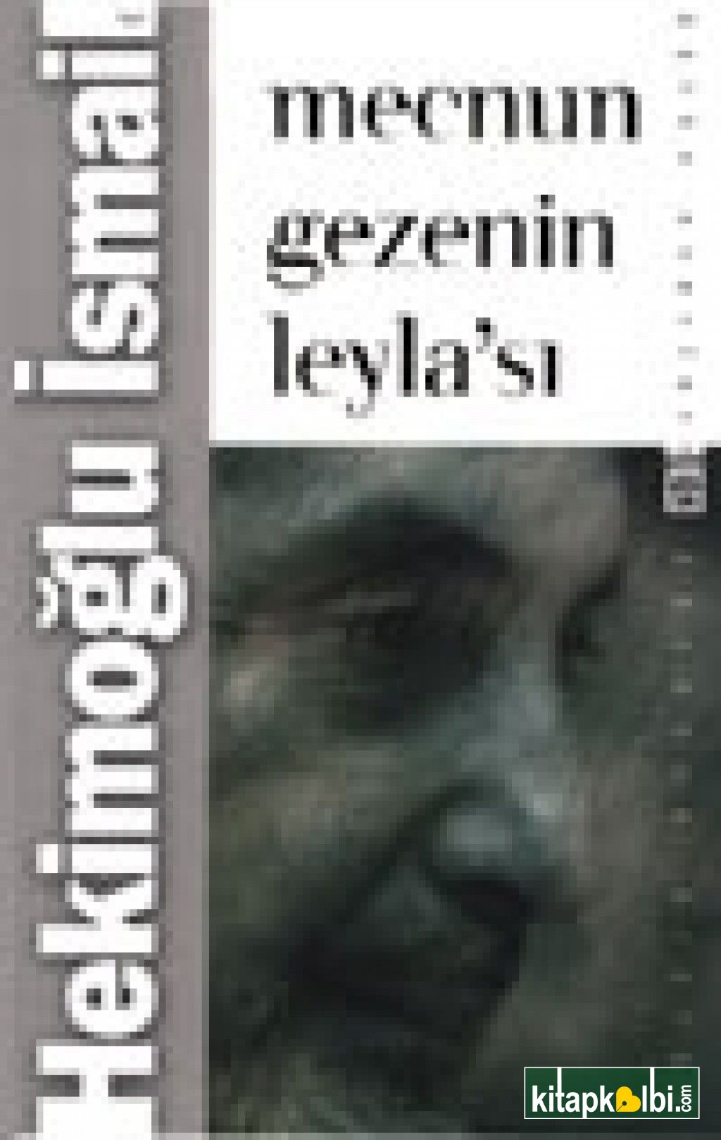 Mecnun Gezenin Leylası