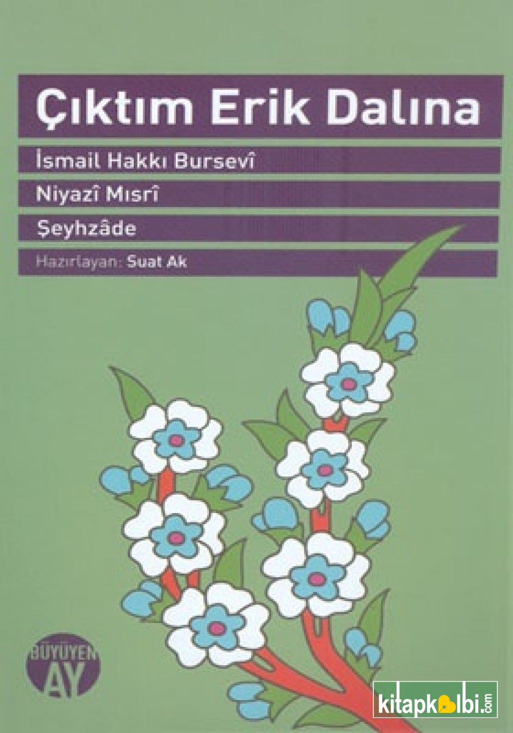 Çıktım Erik Dalına