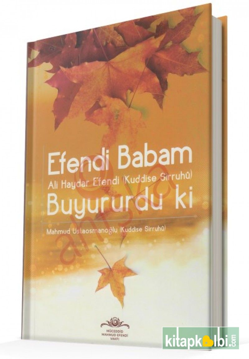 Efendi Babam Ali Haydar Efendi Buyururduki