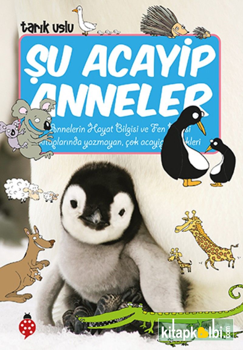 Şu Acayip Anneler