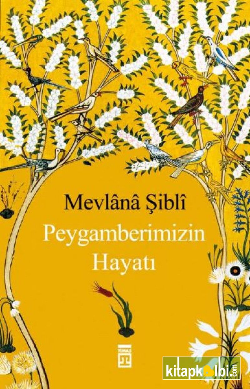 Peygamberimizin Hayatı Mevlana Şibli