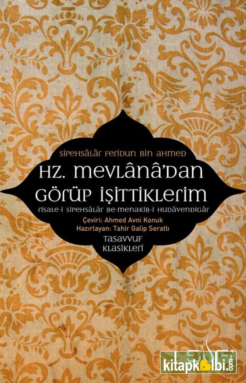 Hz Mevlanadan Görüp İşittiklerim