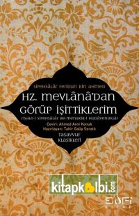 Hz Mevlanadan Görüp İşittiklerim