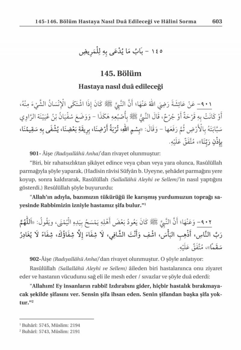Riyazüs Salihin ve Tercümesi Şamua