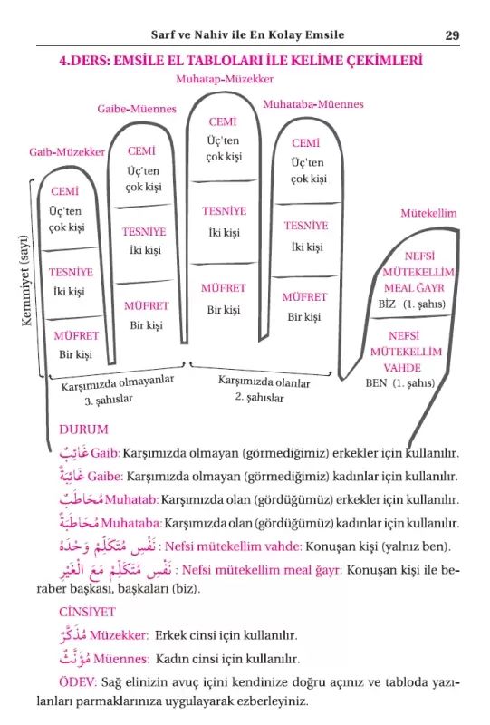 Geniş İzahlı Sarf ve Nahiv EMSİLE