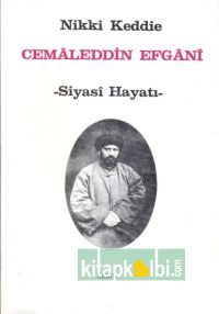 Cemaleddin Efgani Siyasi Hayatı