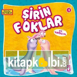 Şirin Foklar İle Tanışalım - Sevimli Hayvanlar