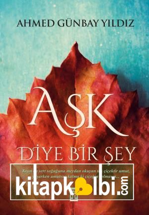 Aşk Diye Bir Şey