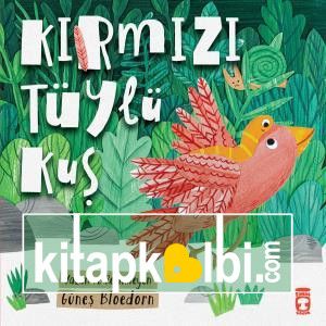 Kırmızı Tüylü Kuş