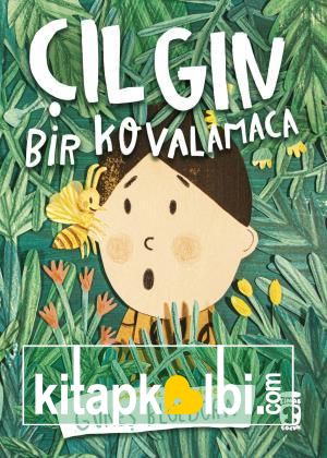 Çılgın Bir Kovalamaca