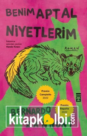 Benim Aptal Niyetlerim