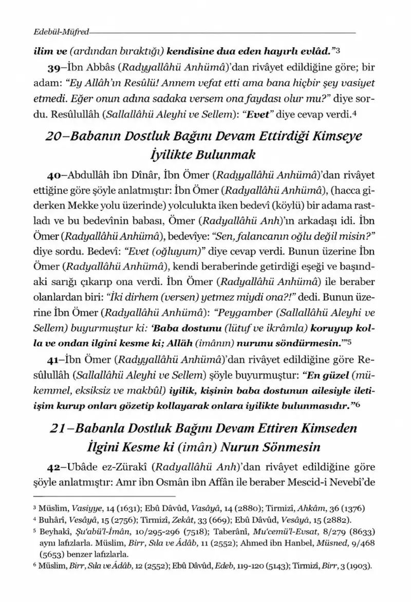 Edebül Müfred Tercümesi