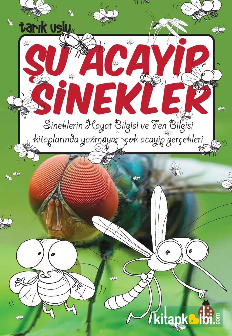 Şu Acayip Sinekler