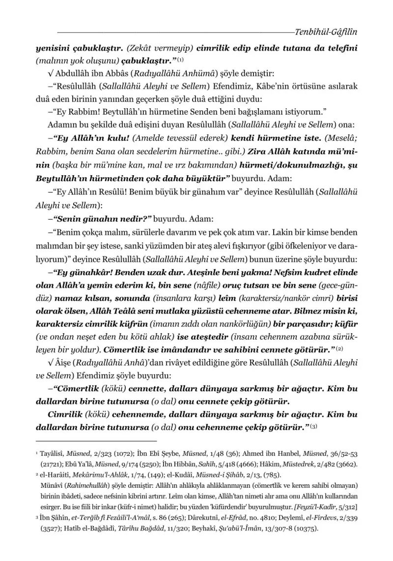 Tenbihül Gafilin ve Bostanül Arifin Ciltli