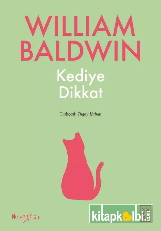 Kediye Dikkat