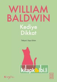 Kediye Dikkat