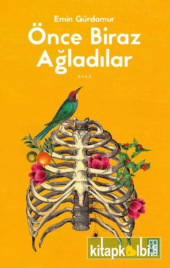 Önce Biraz Ağladılar