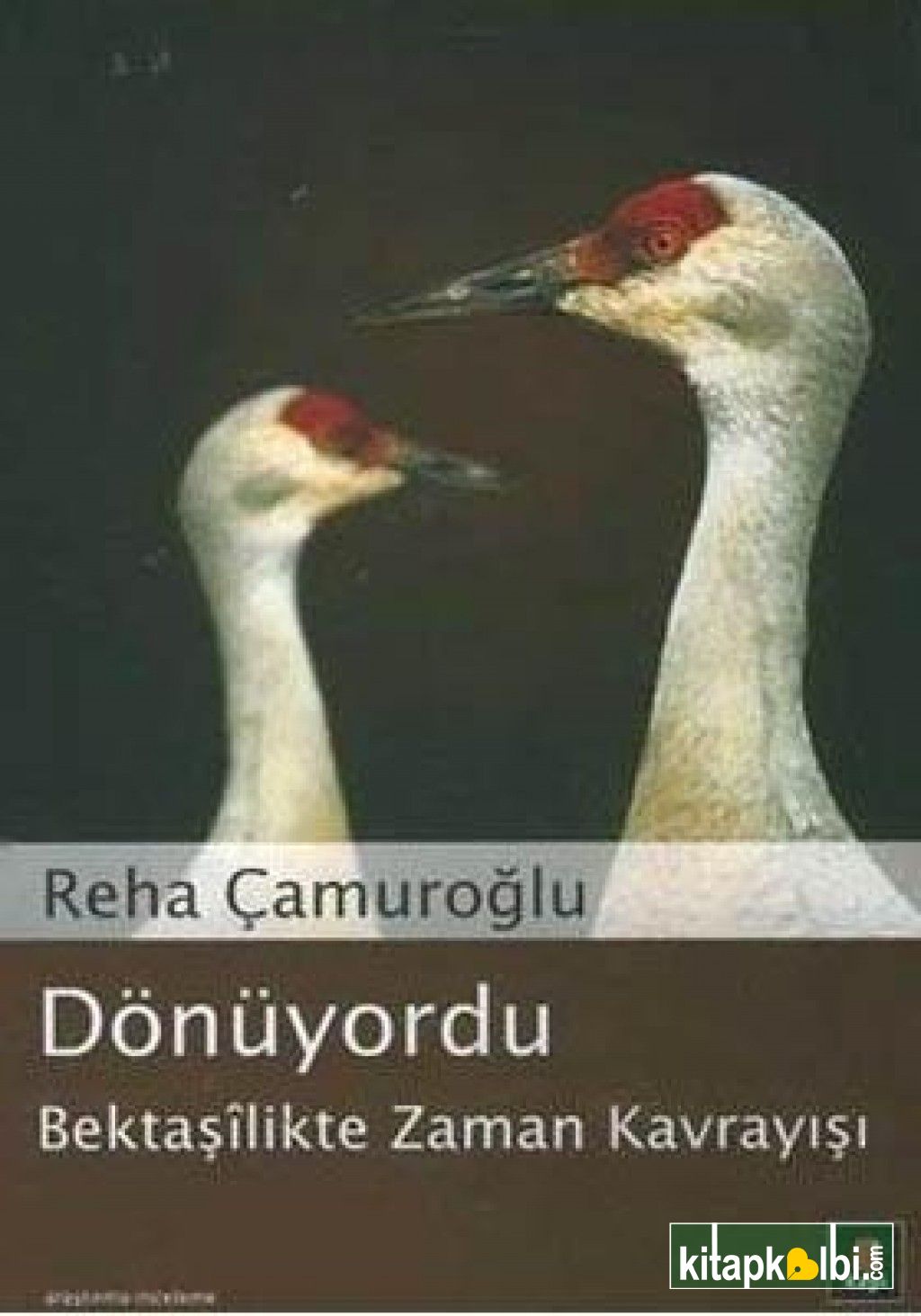 Dönüyordu