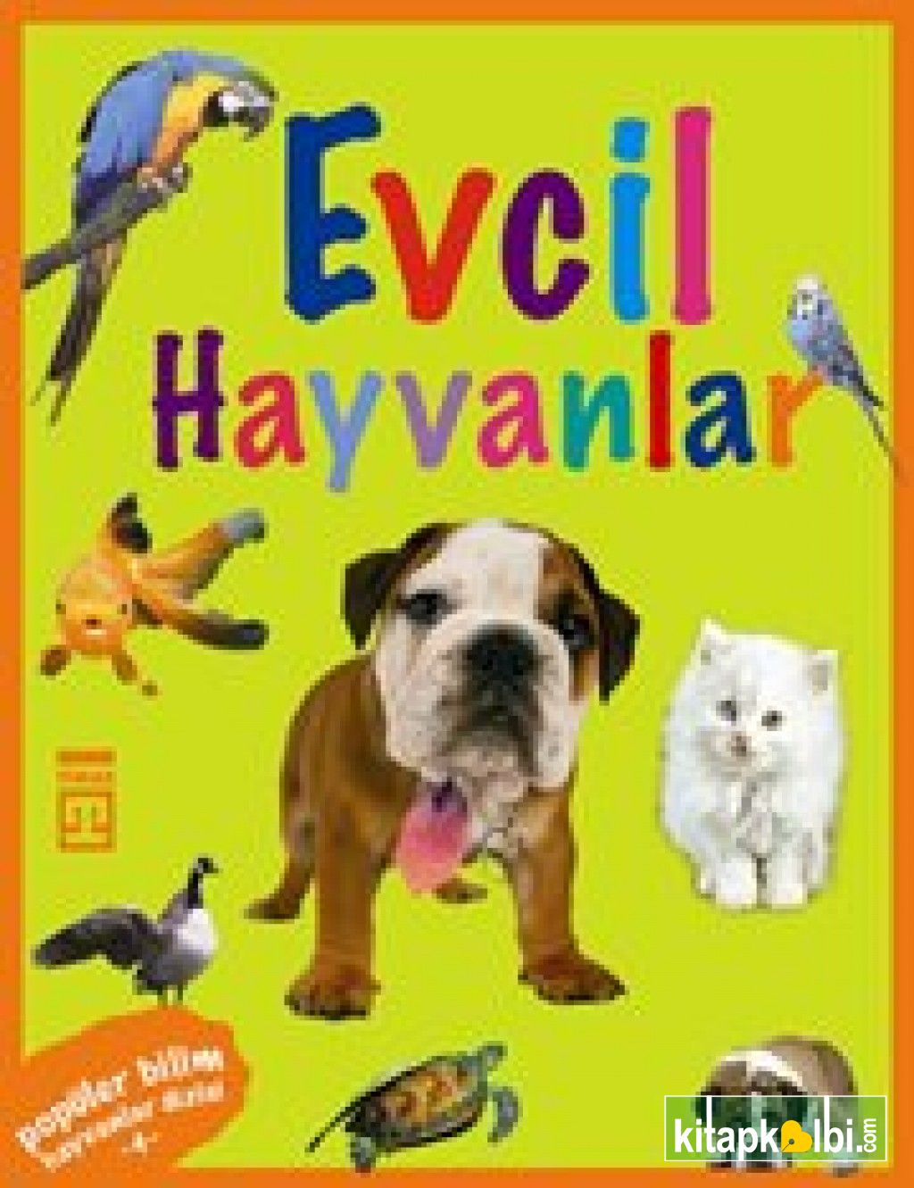 Evcil Hayvanlar