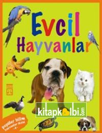 Evcil Hayvanlar