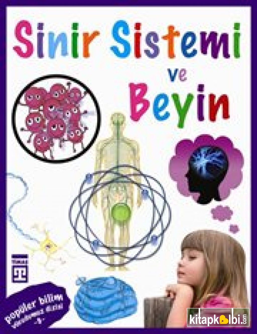 Sinir Sistemi ve Beyin