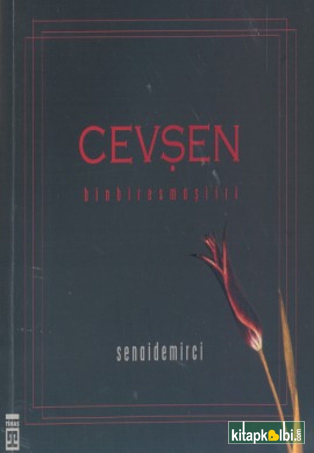 Cevşen Binbiresmaşiiri