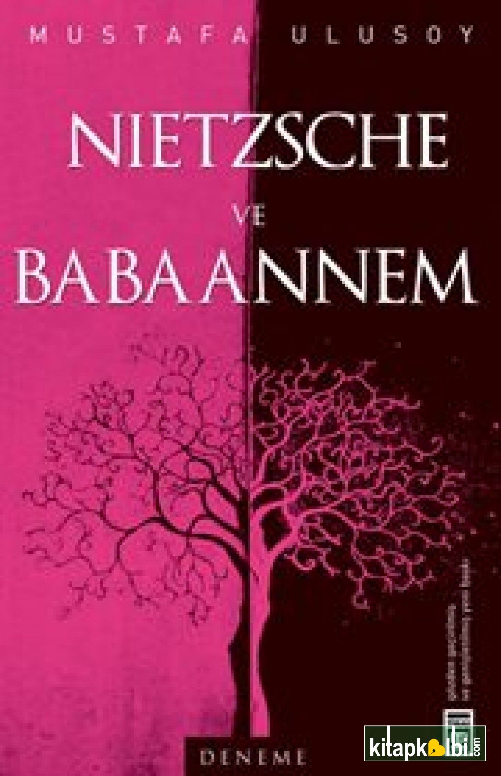 Nietzsche Ve Babaannem